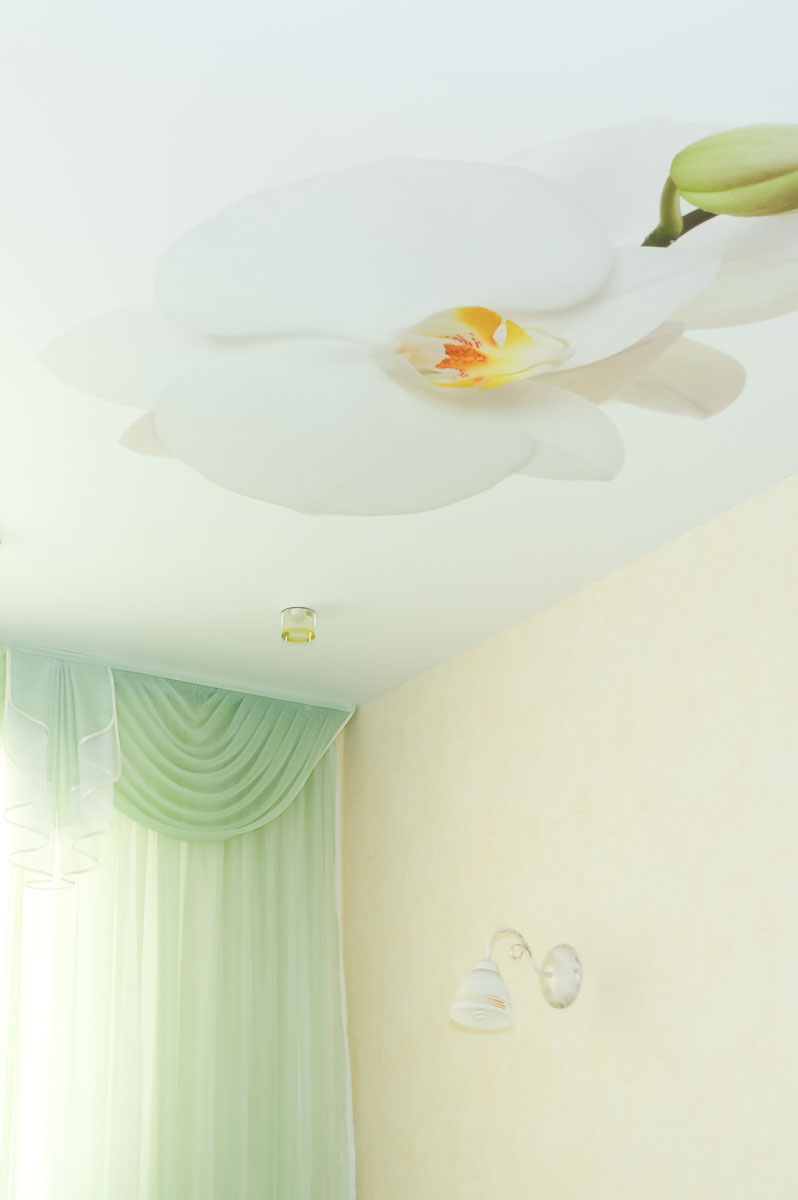 Натяжной потолок с фотопечатью - Findeco