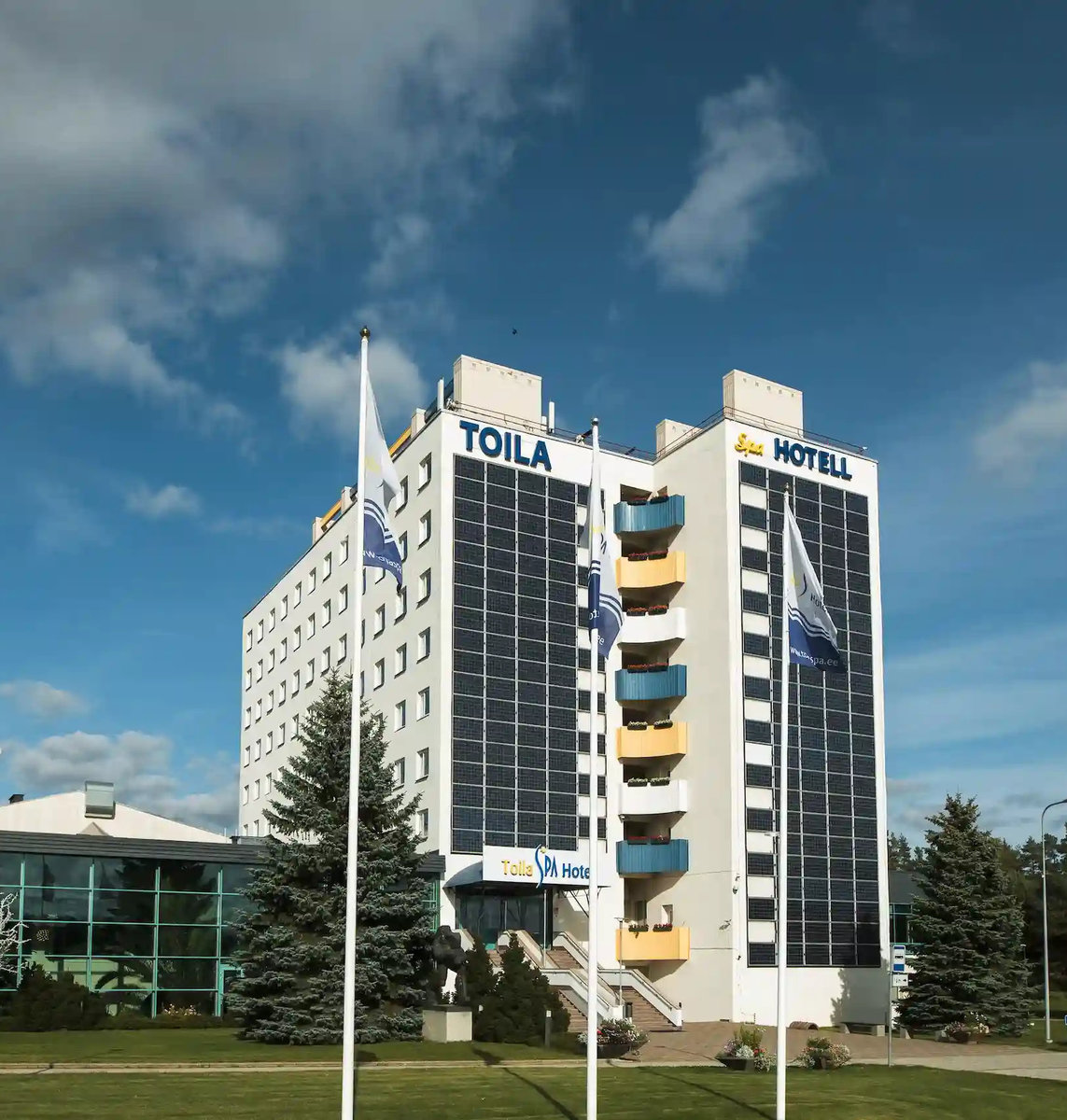 Натяжные потолки в Тойла - Findeco